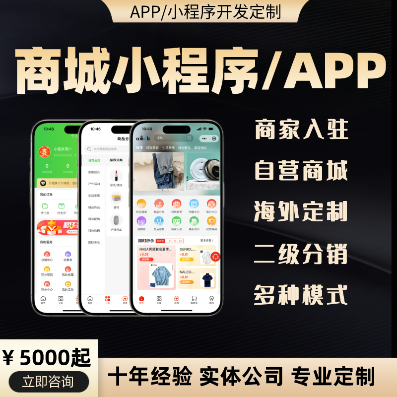 商城小程序app開發定制軟件